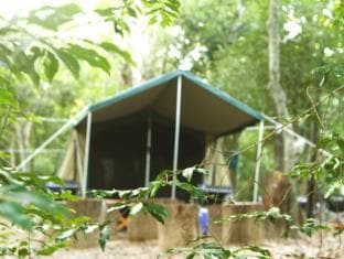 The Yala Camping