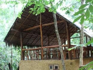 Jungle River Resort