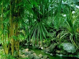 Soba Lanka Holiday Resort Private Limited.