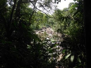 Eco Villa - Sinharaja