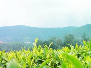 Edelweiss Country Home