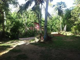 Rainbow Guest House