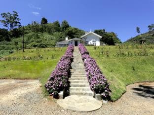 Serene Villa