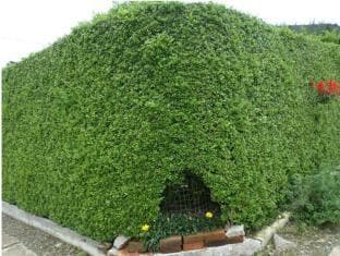 Hotel Hillberry