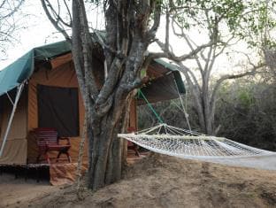Yala Bear Safari Camp Tents
