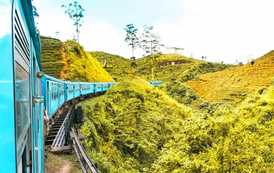The blue hill-country train winding through tea plantations between Kandy and Ella